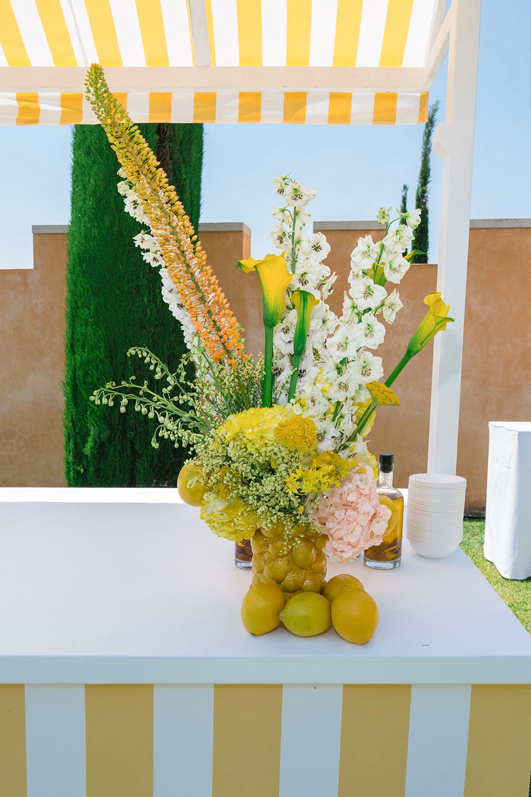 Invités réunis pour le dîner de bienvenue en Provence
